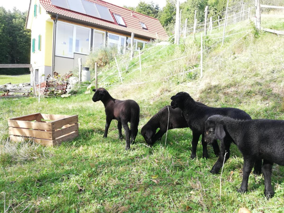 Ferienhaus Grabenhansl Stubenberg Extérieur photo