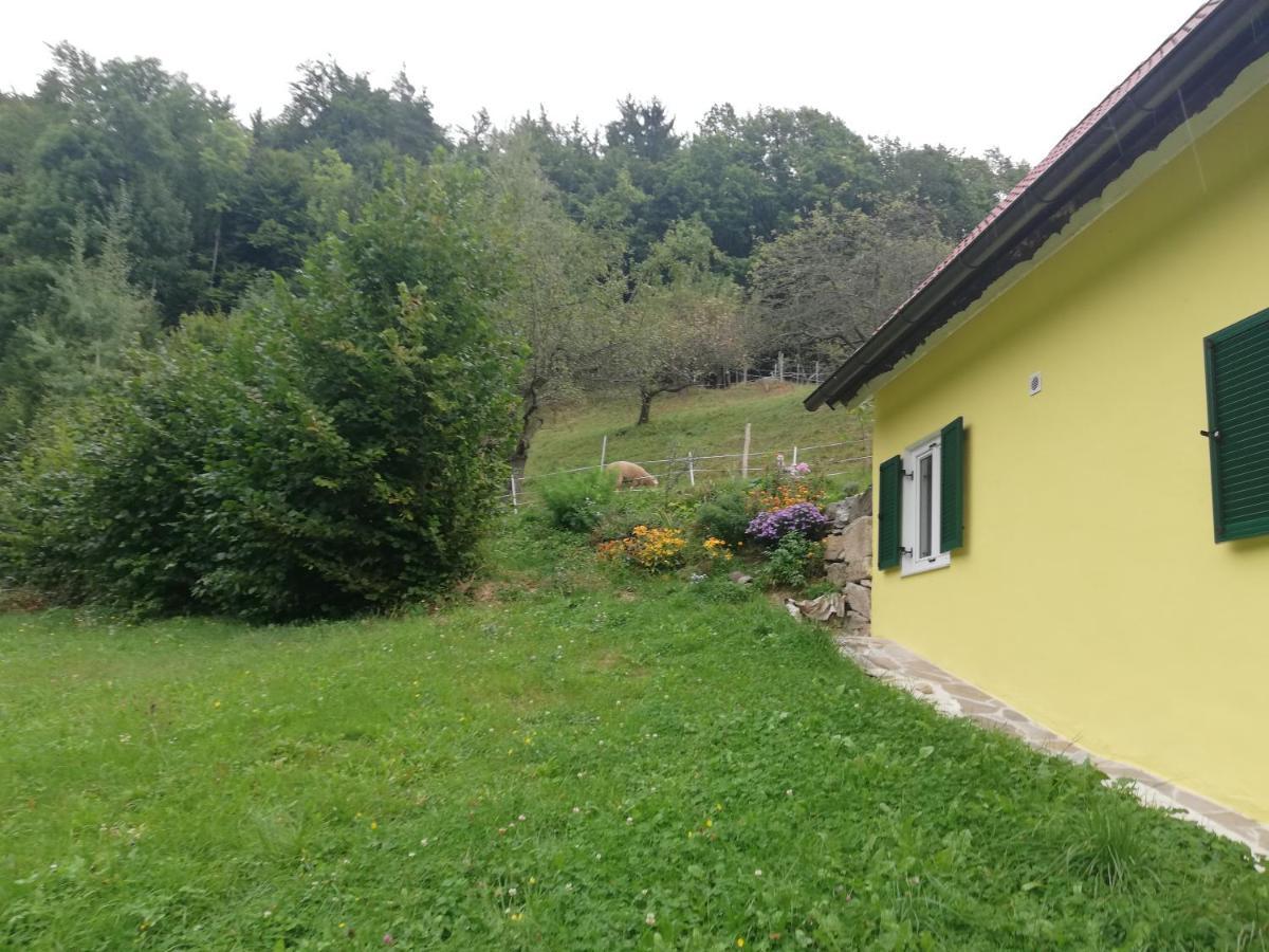 Ferienhaus Grabenhansl Stubenberg Extérieur photo