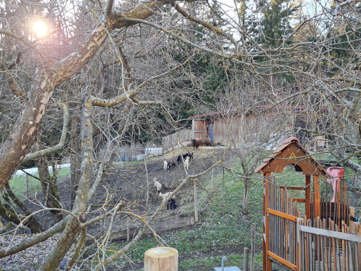 Ferienhaus Grabenhansl Stubenberg Extérieur photo