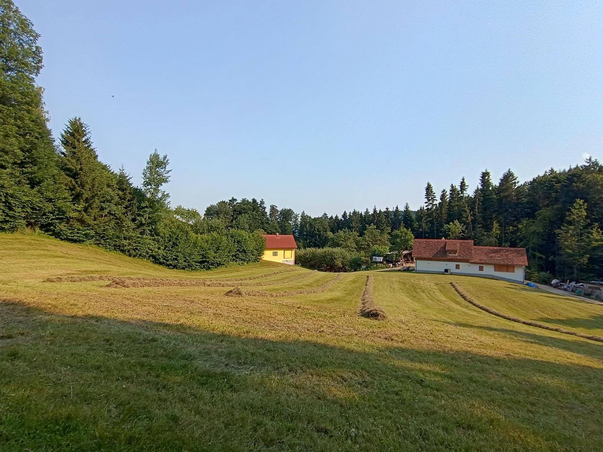 Ferienhaus Grabenhansl Stubenberg Extérieur photo